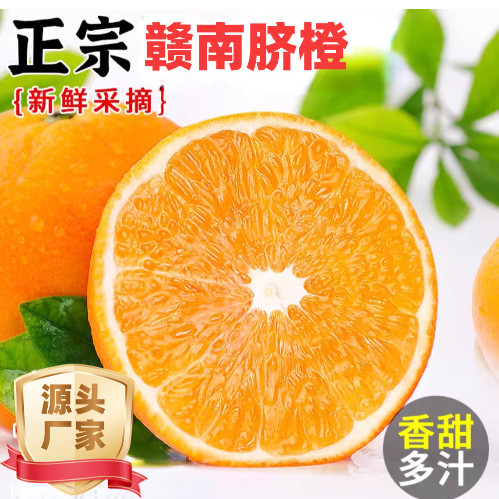 赣南脐橙新鲜水果12个装批发应季水果精品礼盒橙子